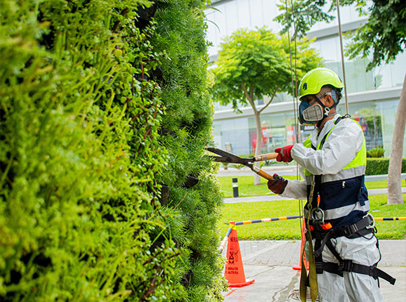 Servicio de jardinería.
